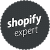 Shopify Expert support